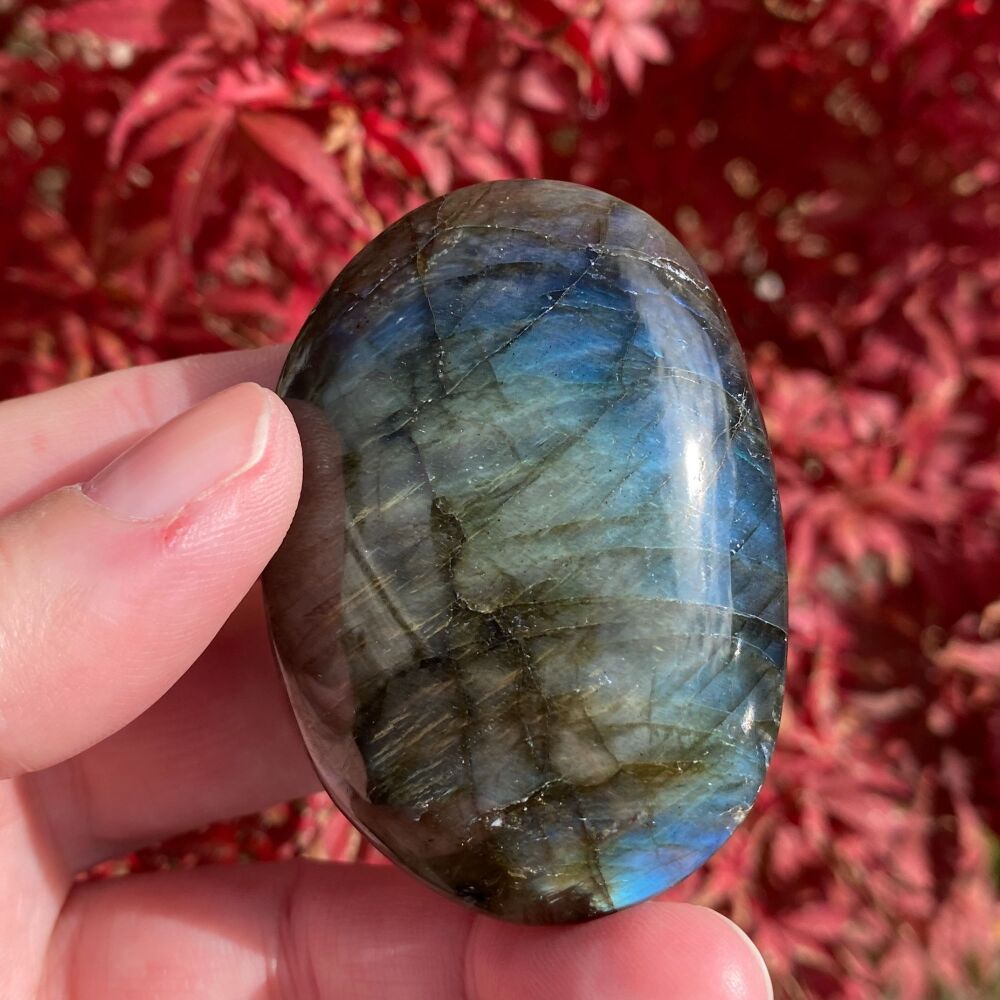 Labradorite Palm Stone ~ C