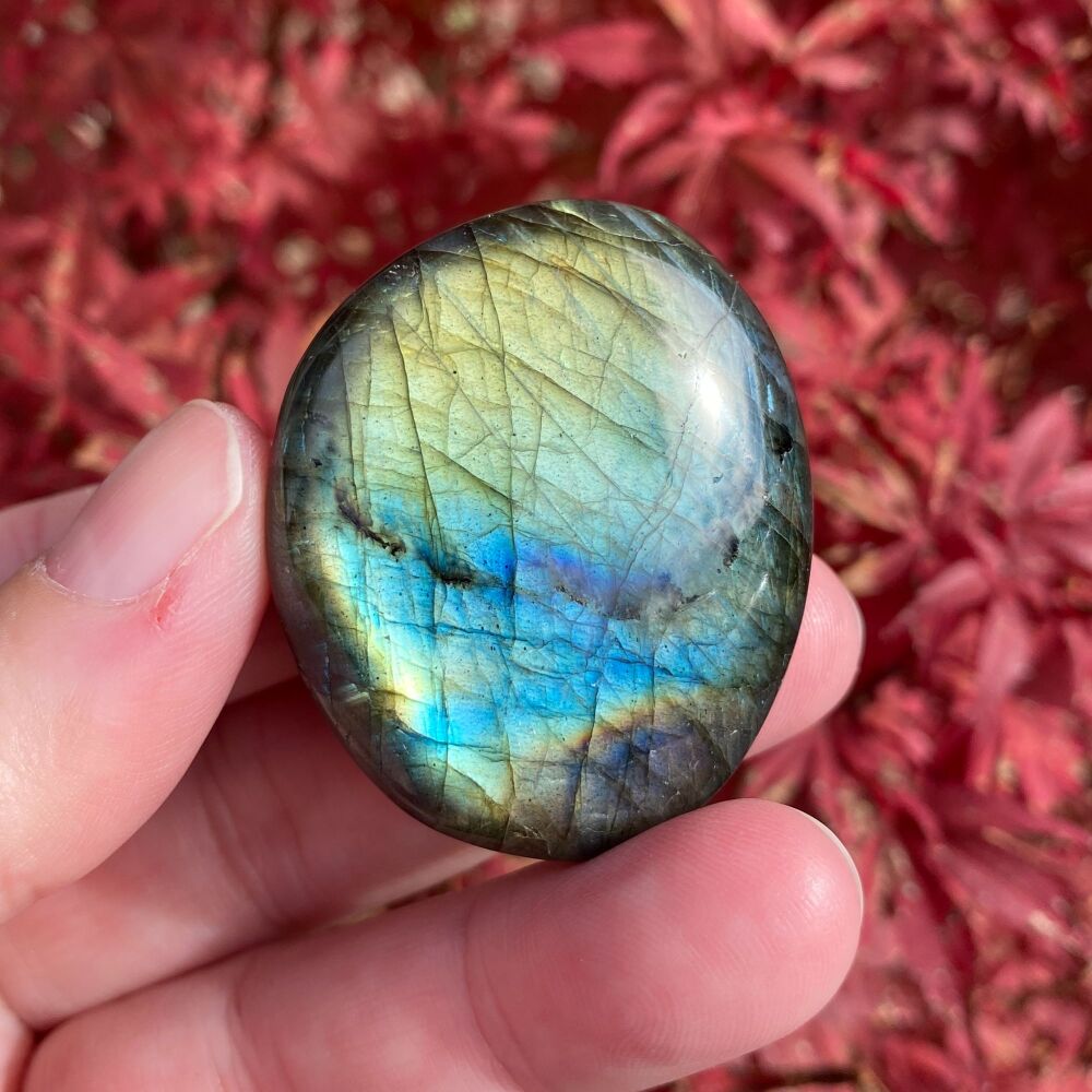 Labradorite Palm Stone ~ D