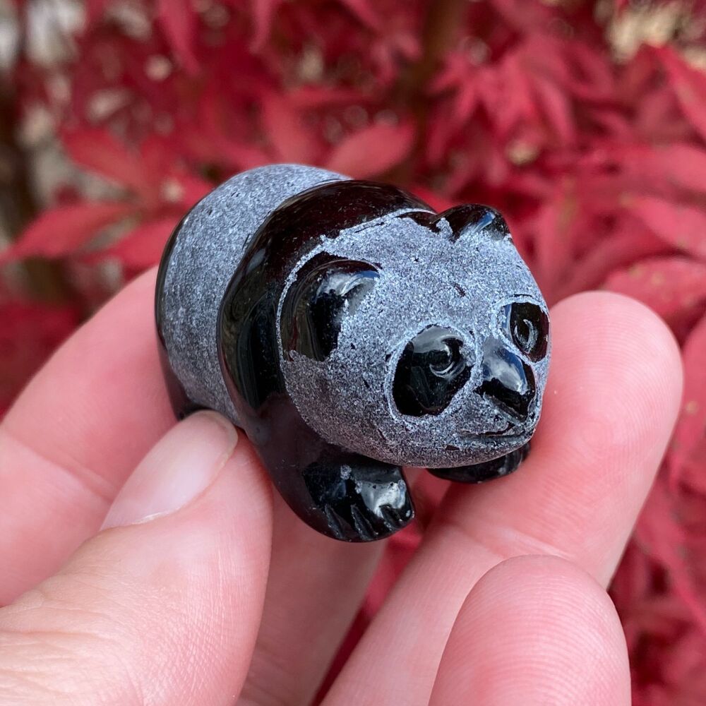 Black Obsidian Panda