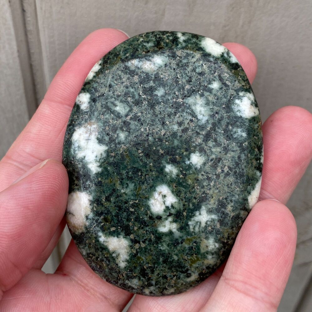 Preseli Bluestone (Stonehenge Stone) Large Palm Stone ~ #2