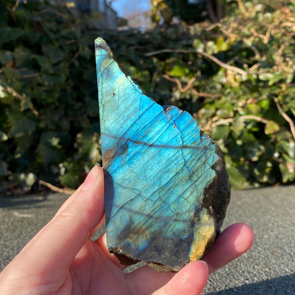 Labradorite Slab with polished side