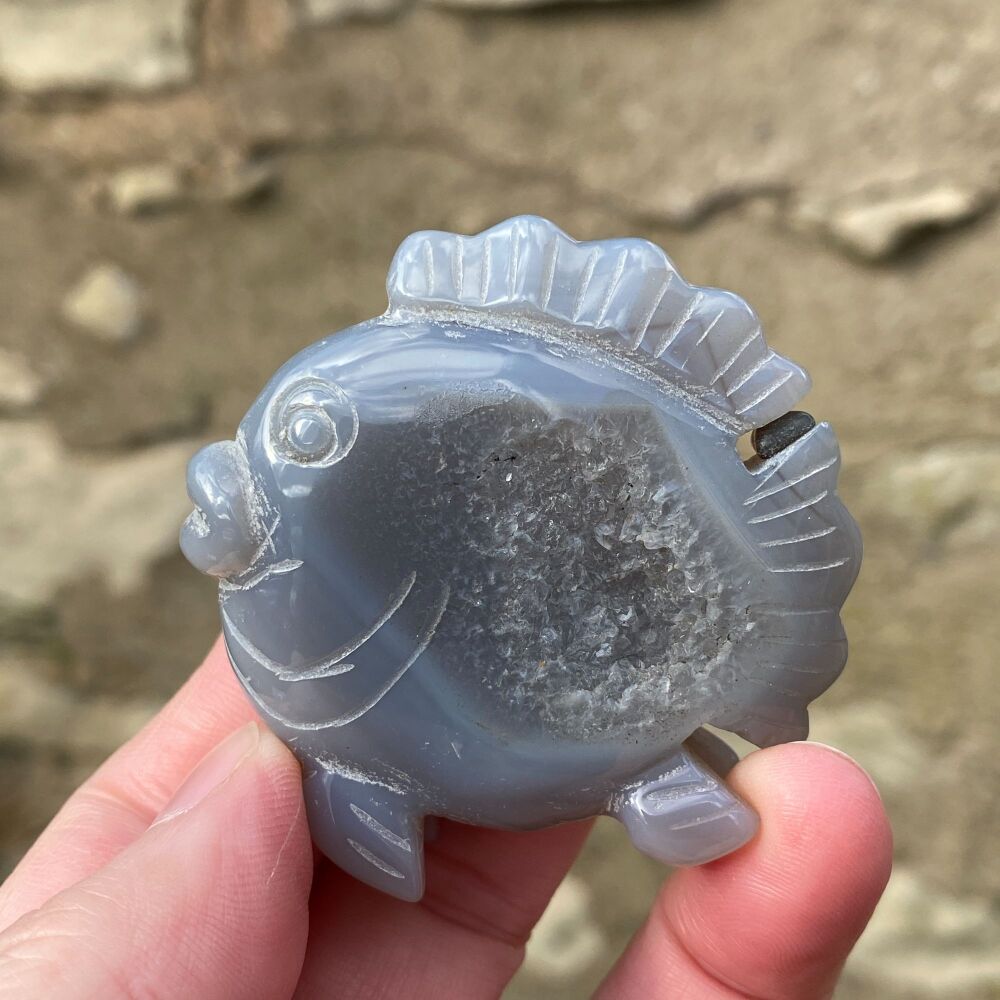 Agate Fish with Druze