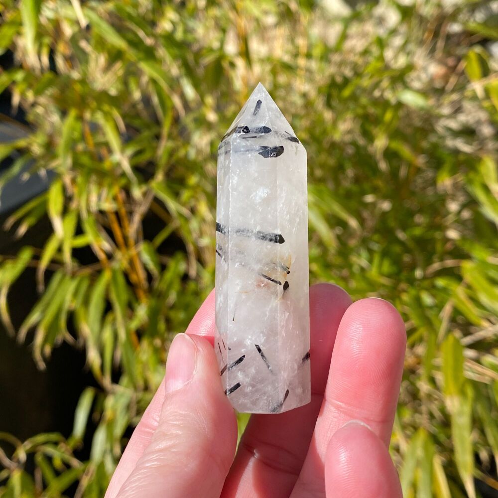 Black Tourmaline in Quartz Point ~ #1