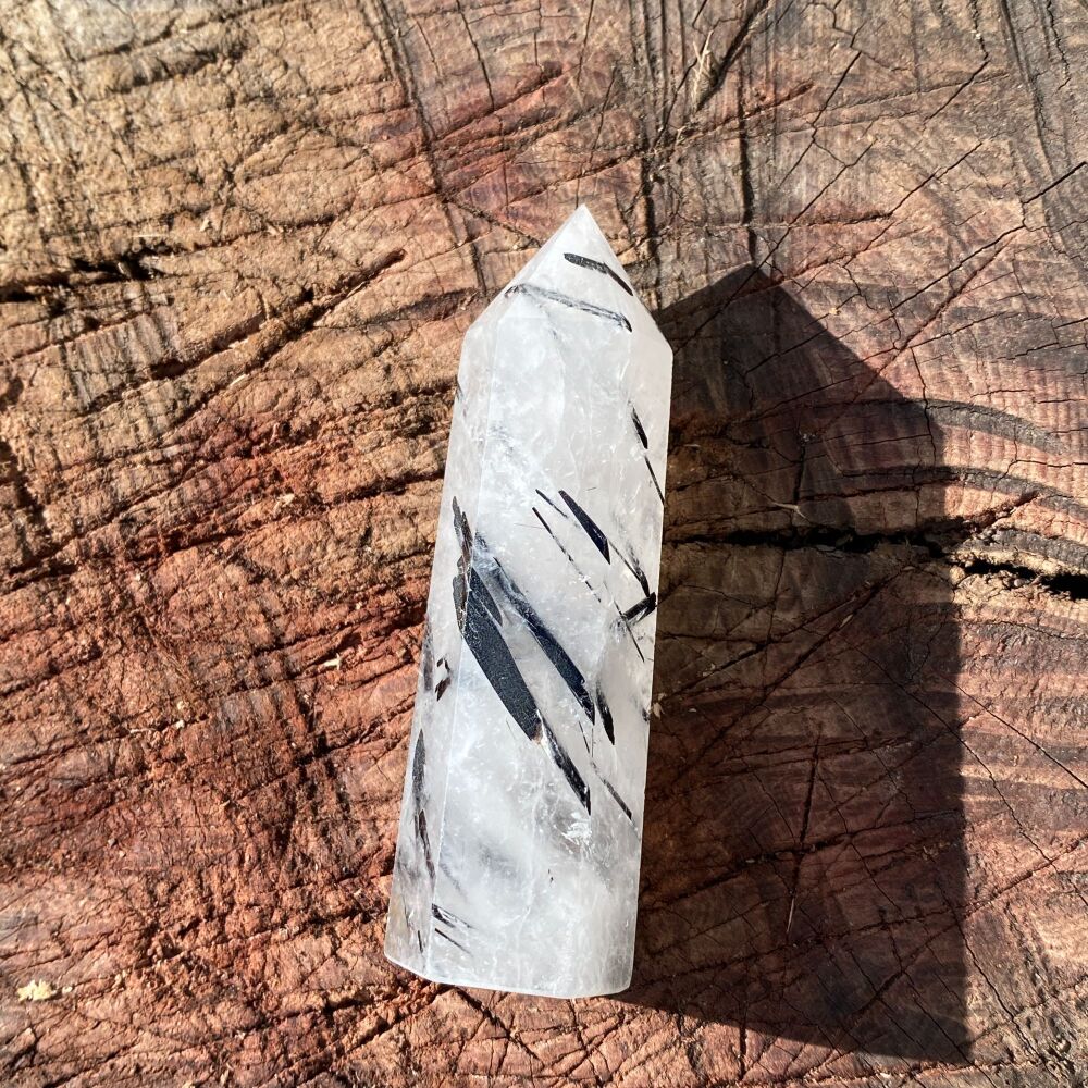 Black Tourmaline in Quartz Point ~ #2