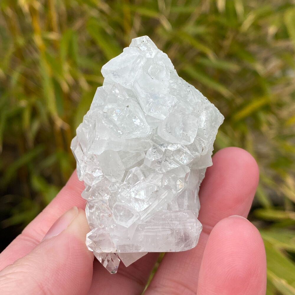 Apophyllite Crystal Formation ~ #1