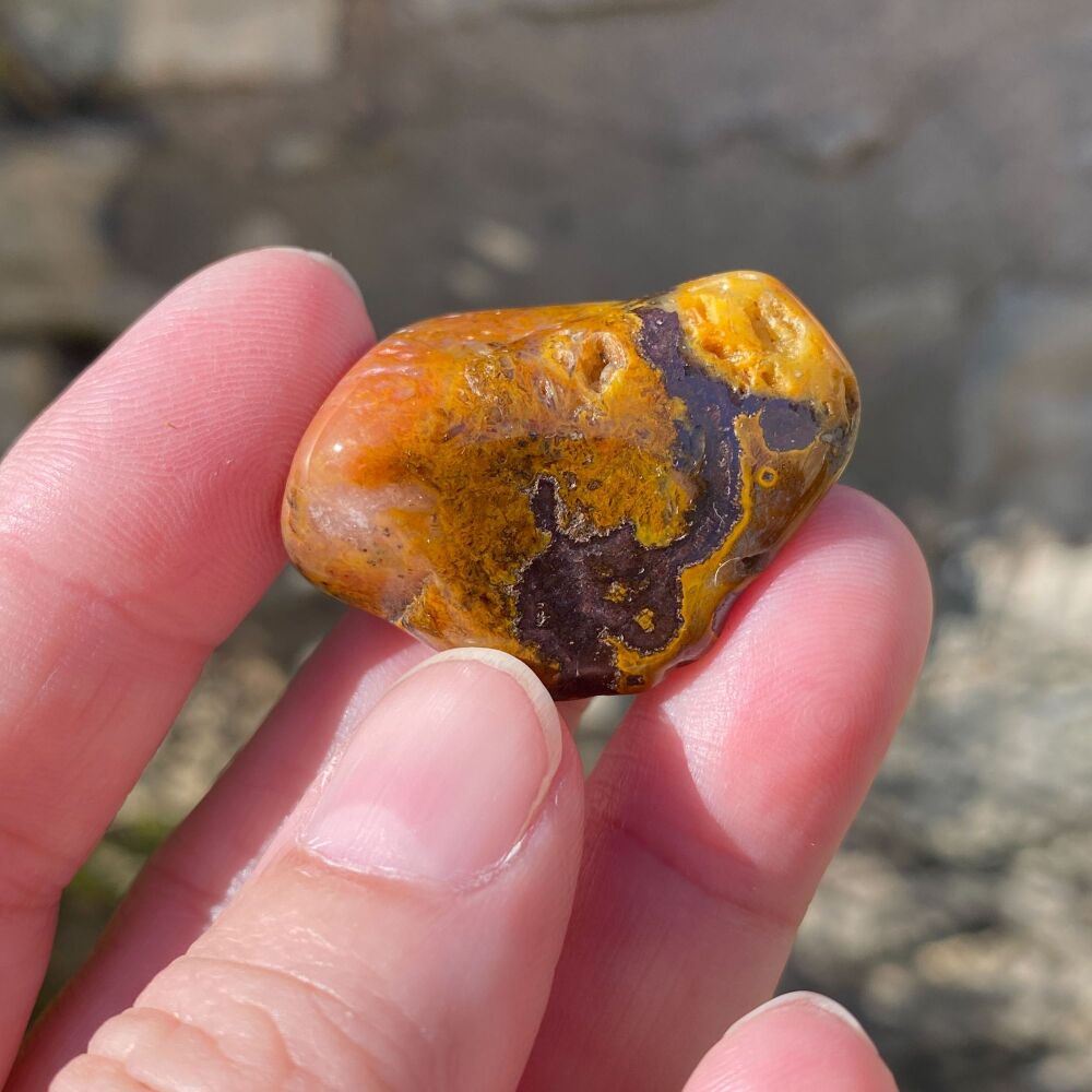 Cheetah Agate Tumble ~ #3