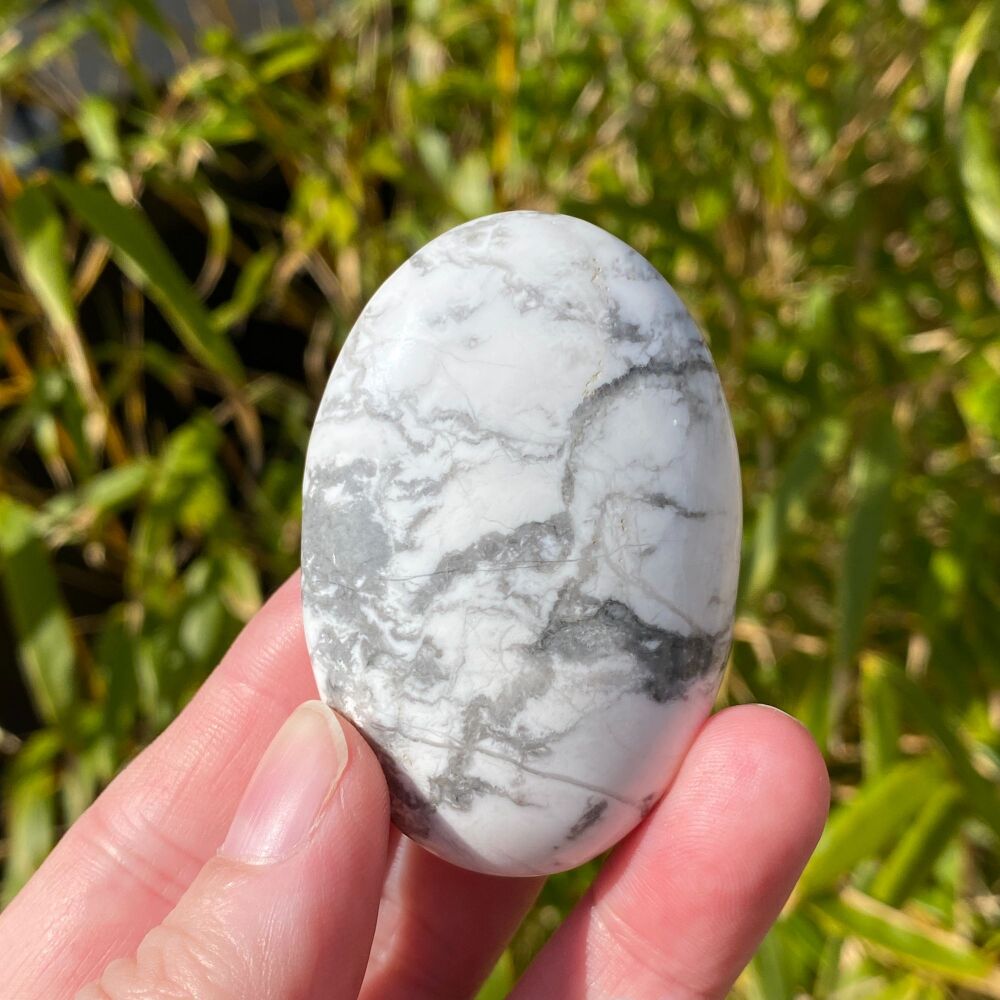 Howlite Palm Stone