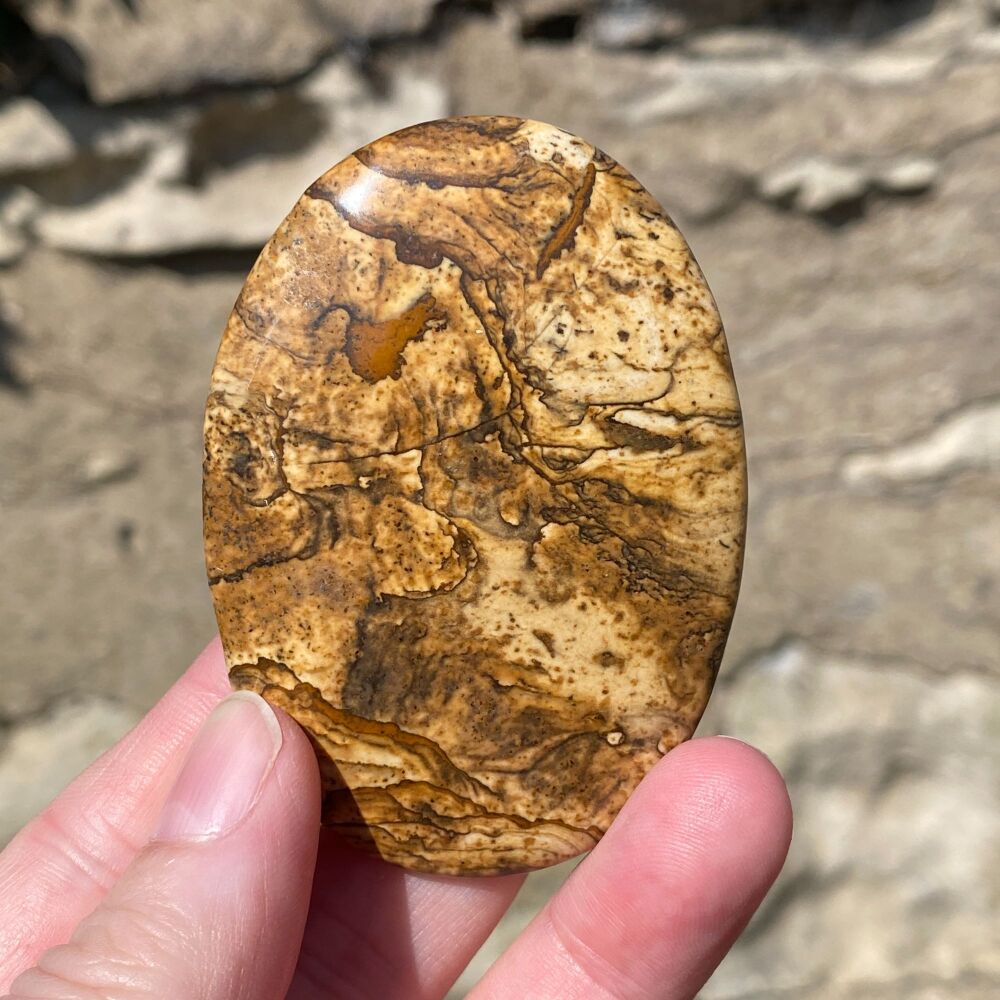 Picture Jasper Palm Stone