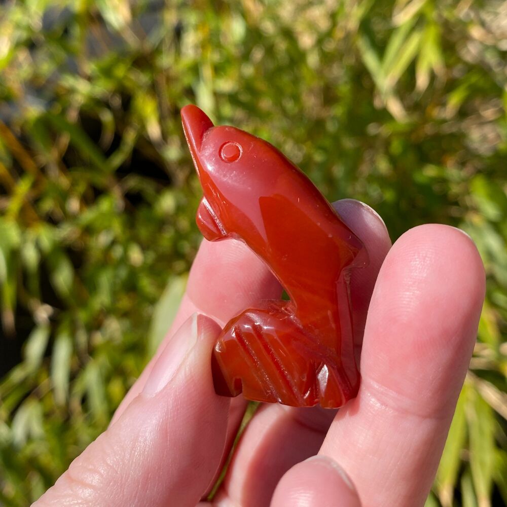 Carnelian Carved Dolphin ~#1