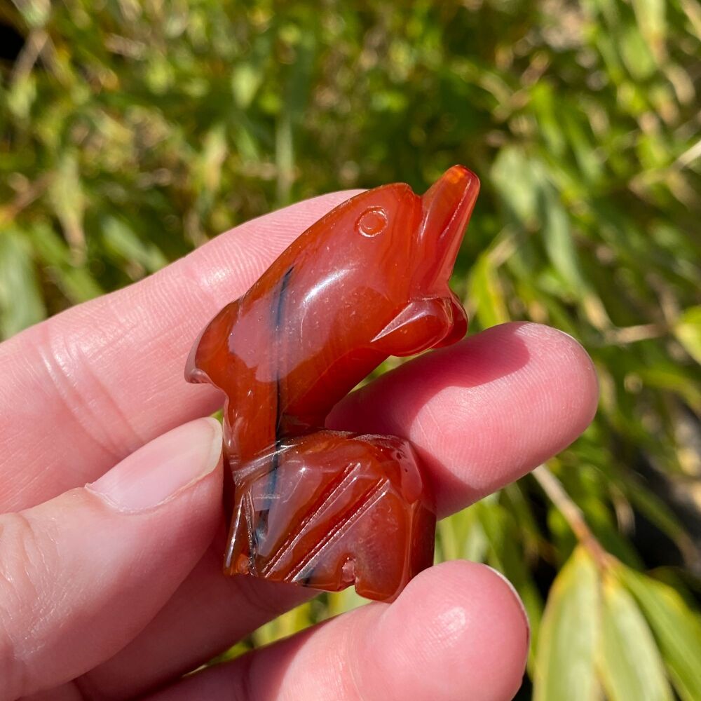 Carnelian Carved Dolphin ~#2
