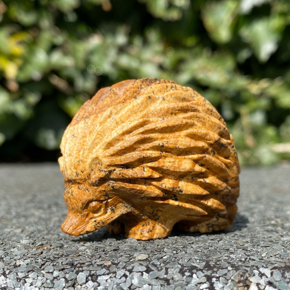 Picture Jasper Carved Hedgehog