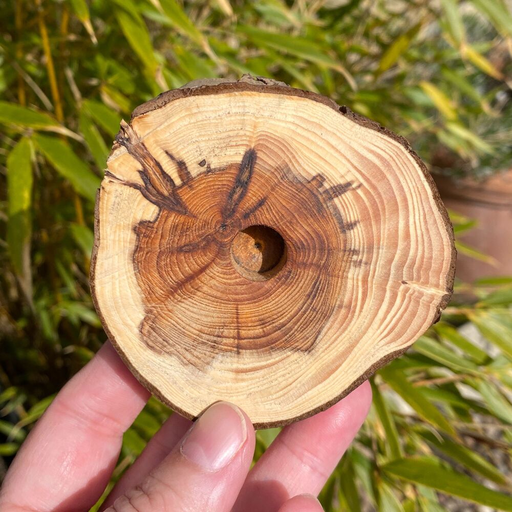 Yew Wood Candle Holder ~ #2