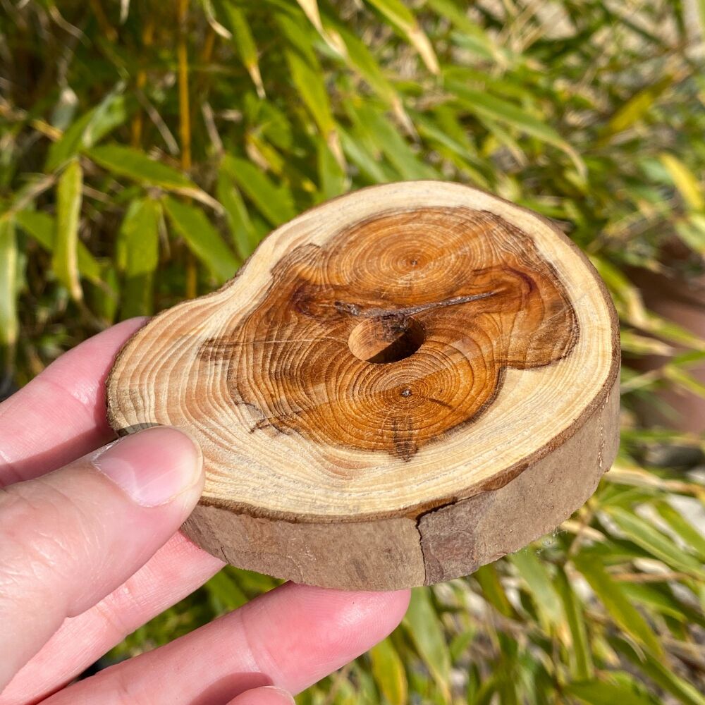 Yew Wood Candle Holder ~ #3