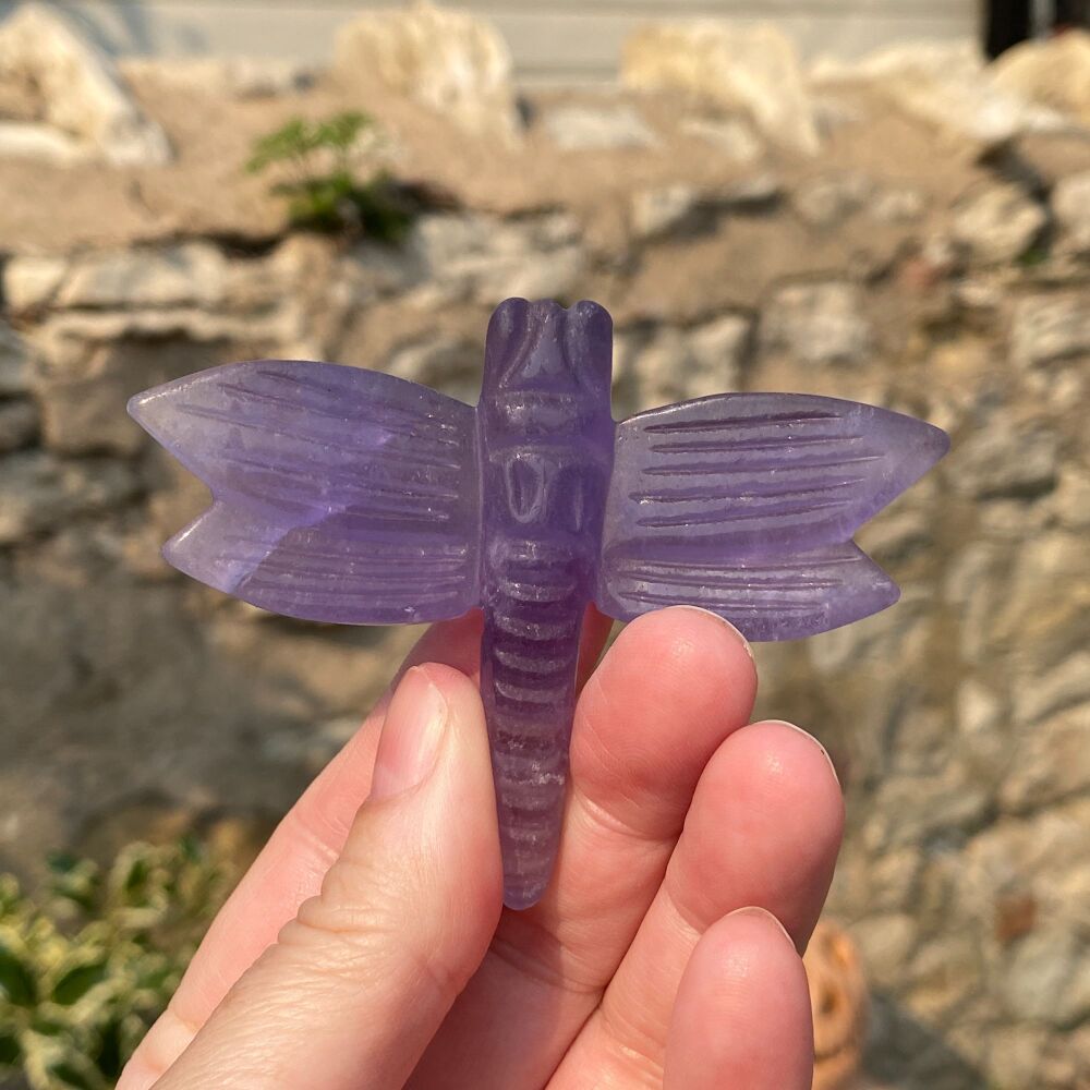 Carved Dragonfly ~ Purple Fluorite