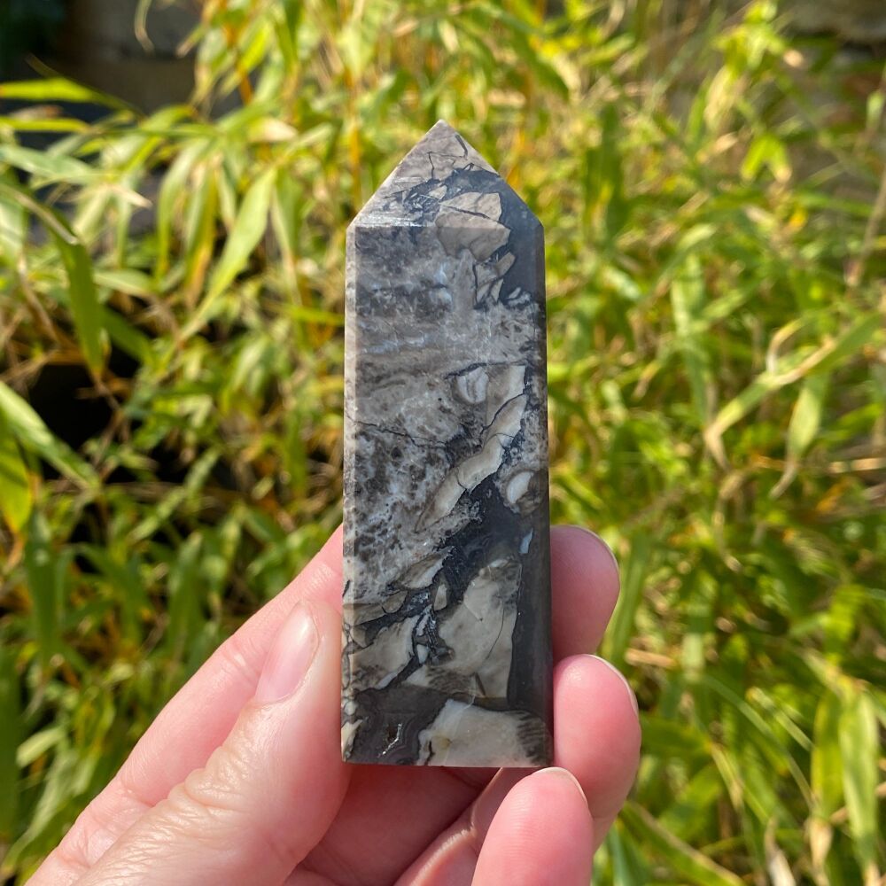 Volcano Agate Point