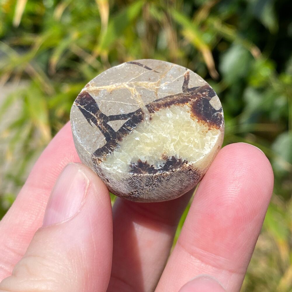 Septarian Ema Egg ~#1