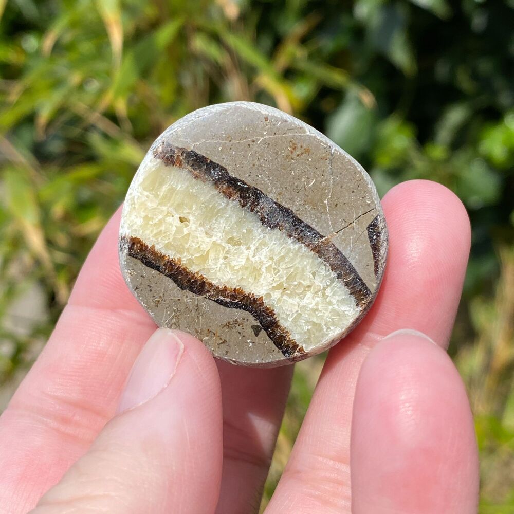 Septarian Ema Egg ~#3