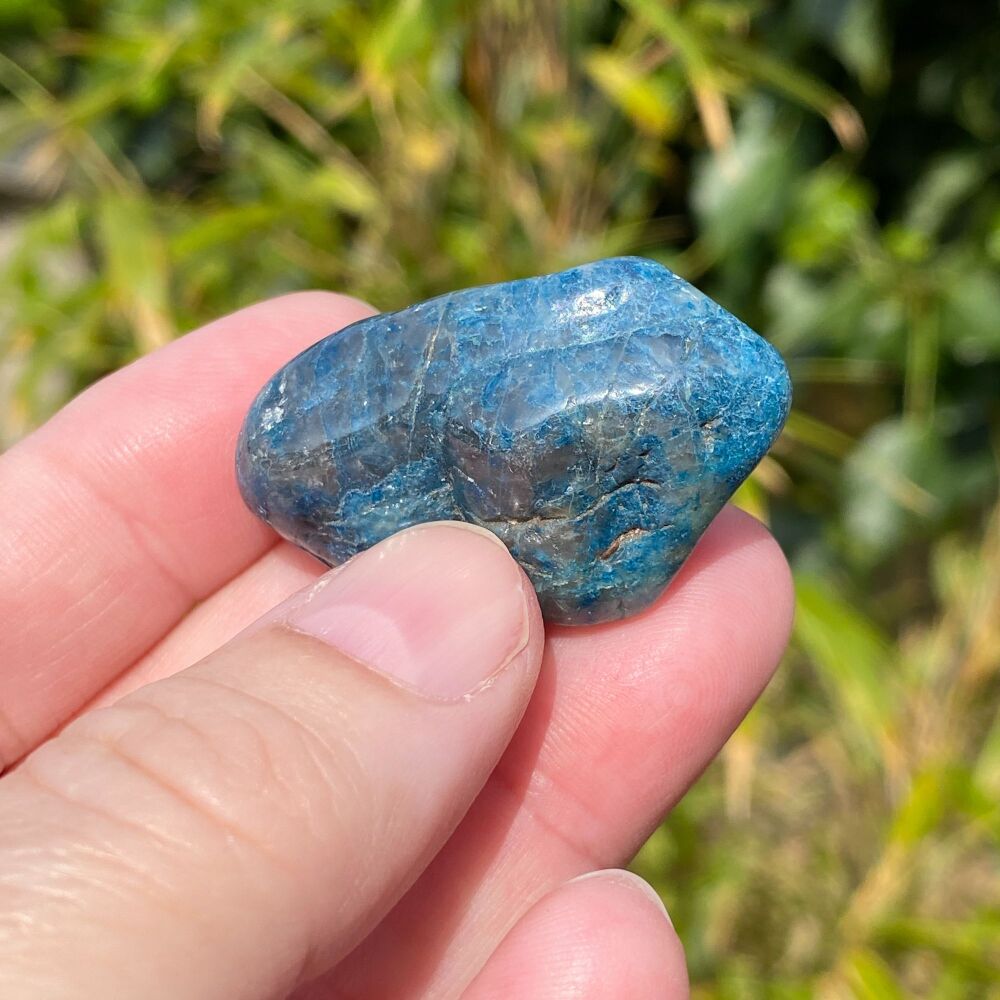 Chrysocolla and Shattuckite Tumble Stone ~#3