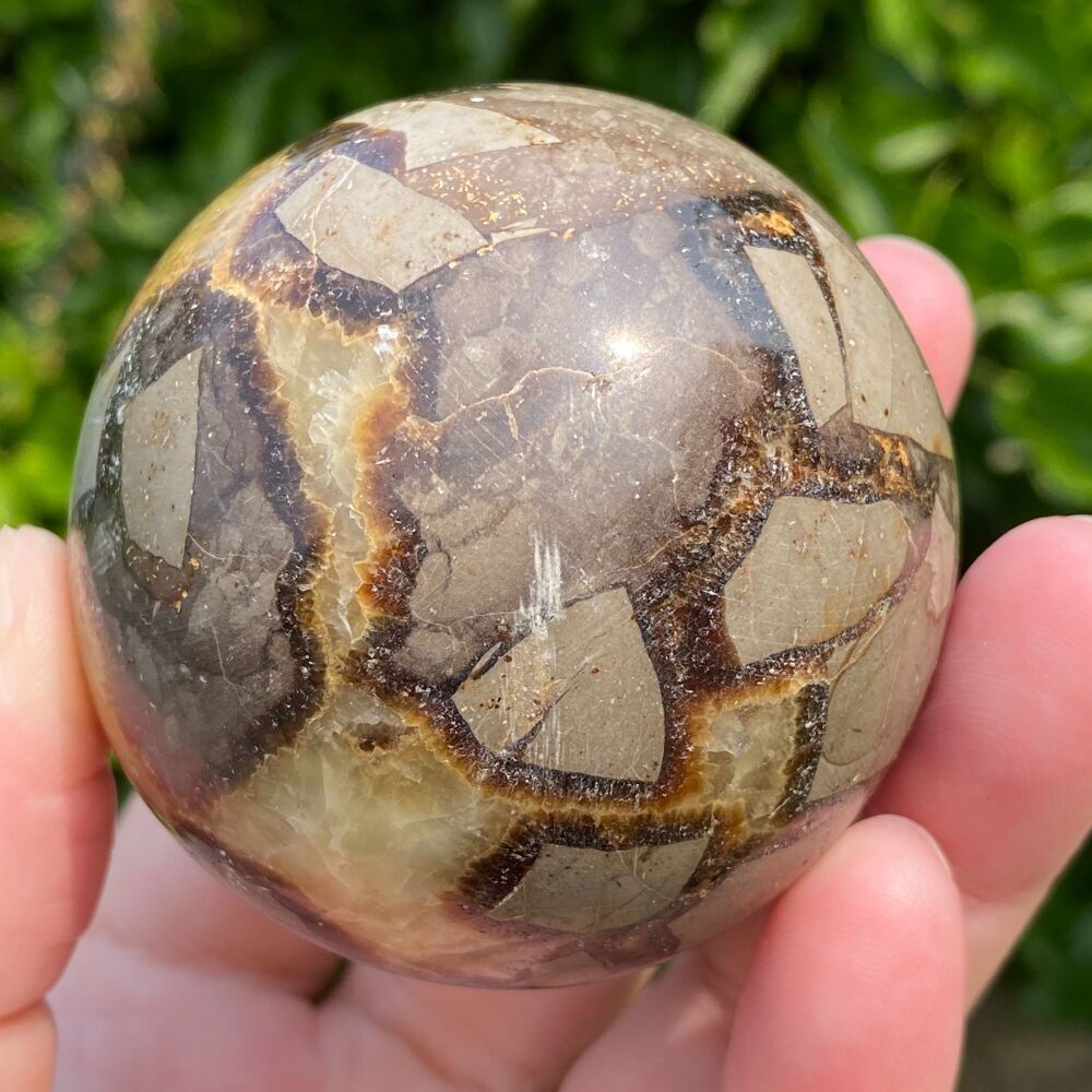 Septarian Sphere with stand