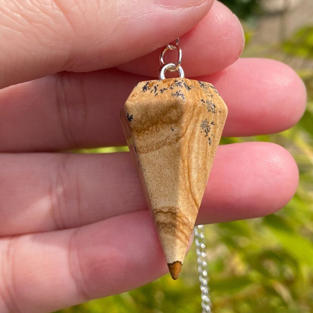 Picture Jasper Pendulum ~#A