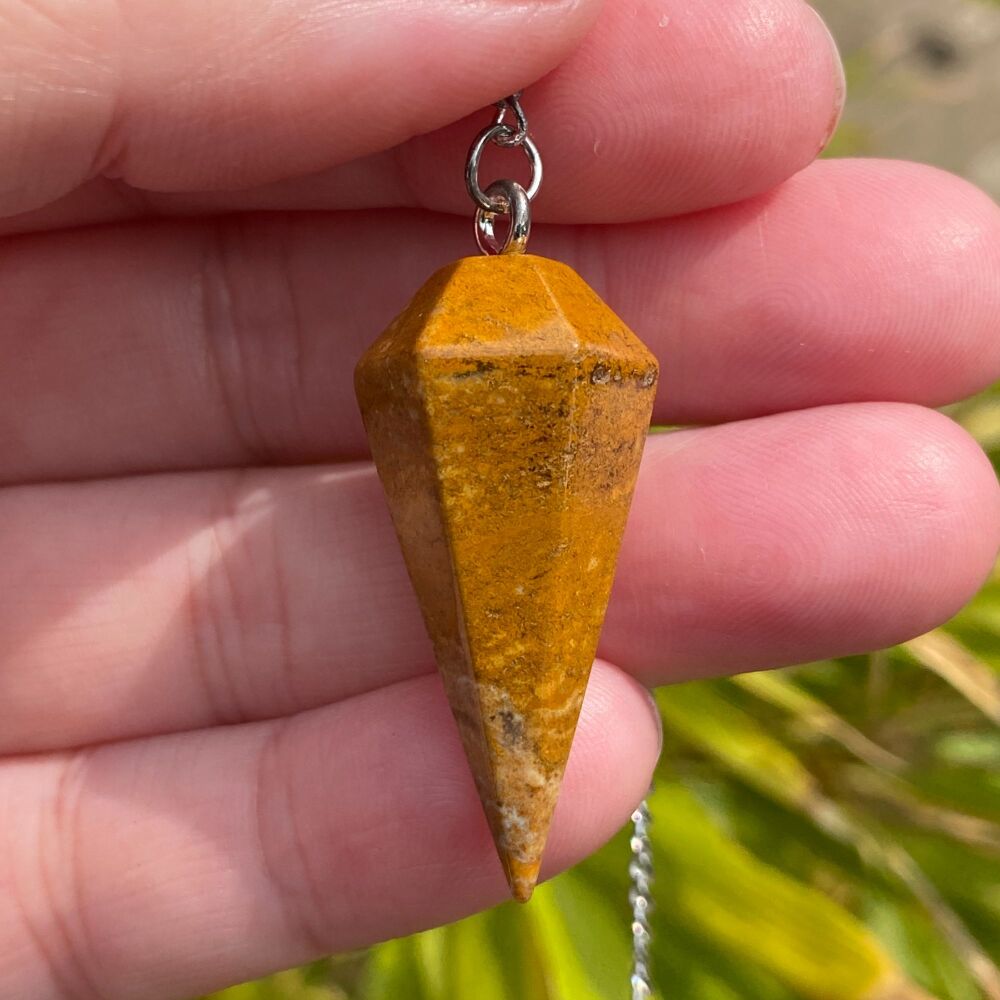 Picture Jasper Pendulum ~#B