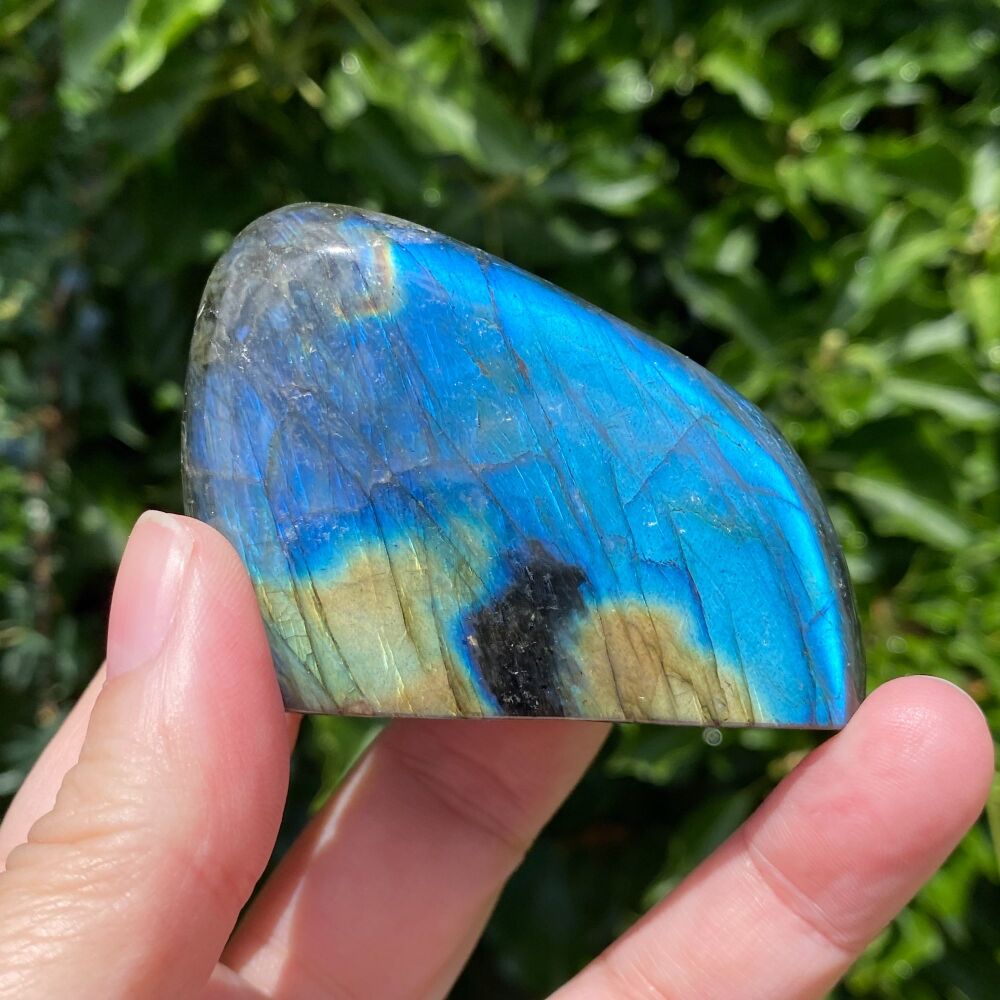 Labradorite Freeform ~ #D