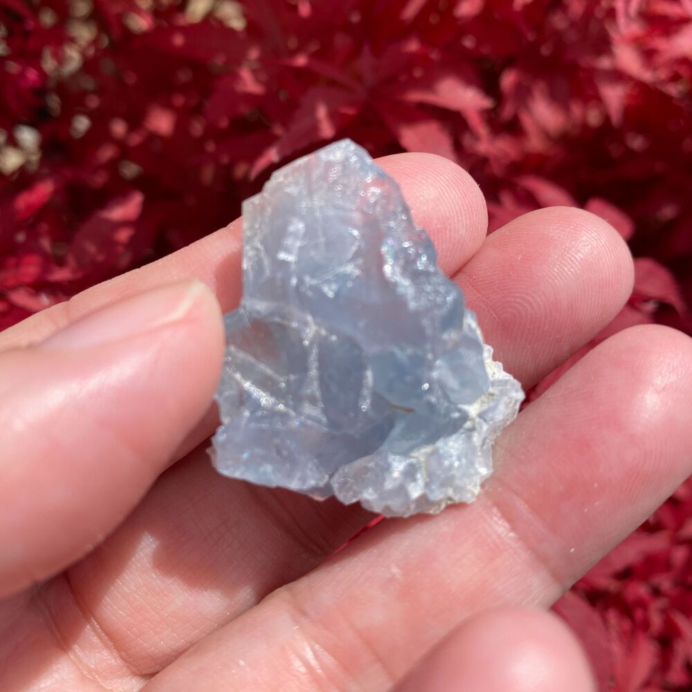 Celestite Chunk ~ #B