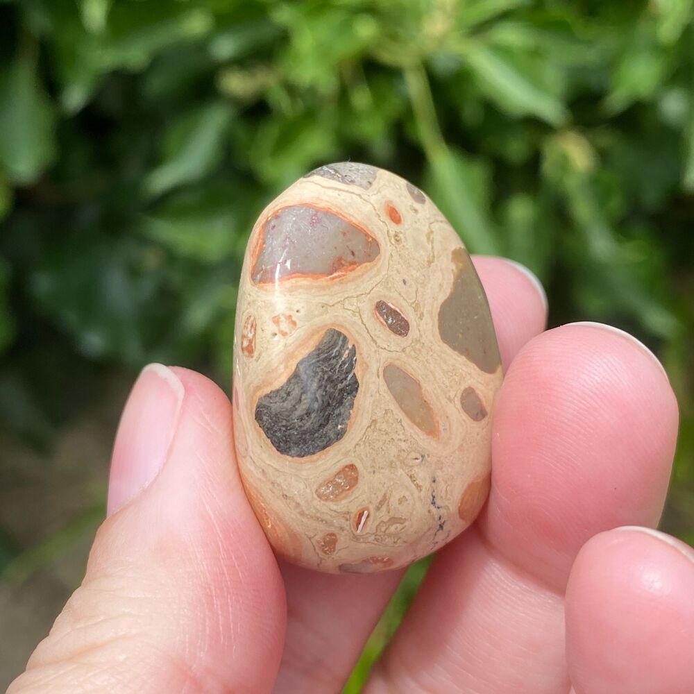 Leopardite Tumble Stone #1