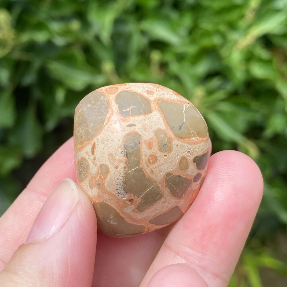 Leopardite Tumble Stone #2