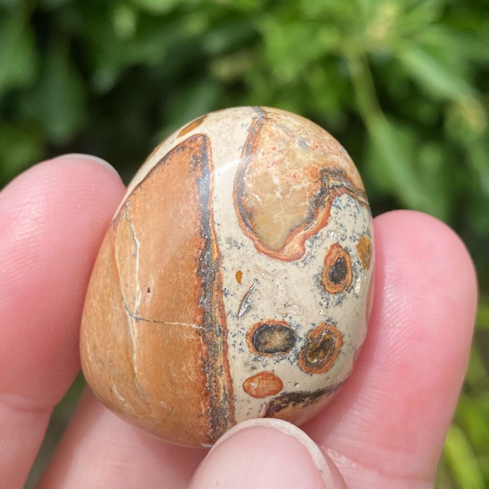 Leopardite Tumble Stone #3