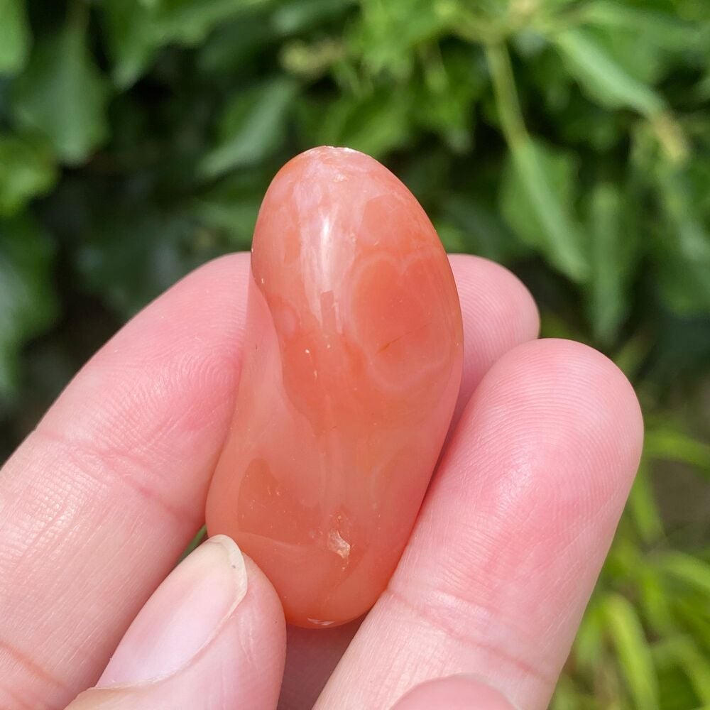 Apricot Agate ~ #1