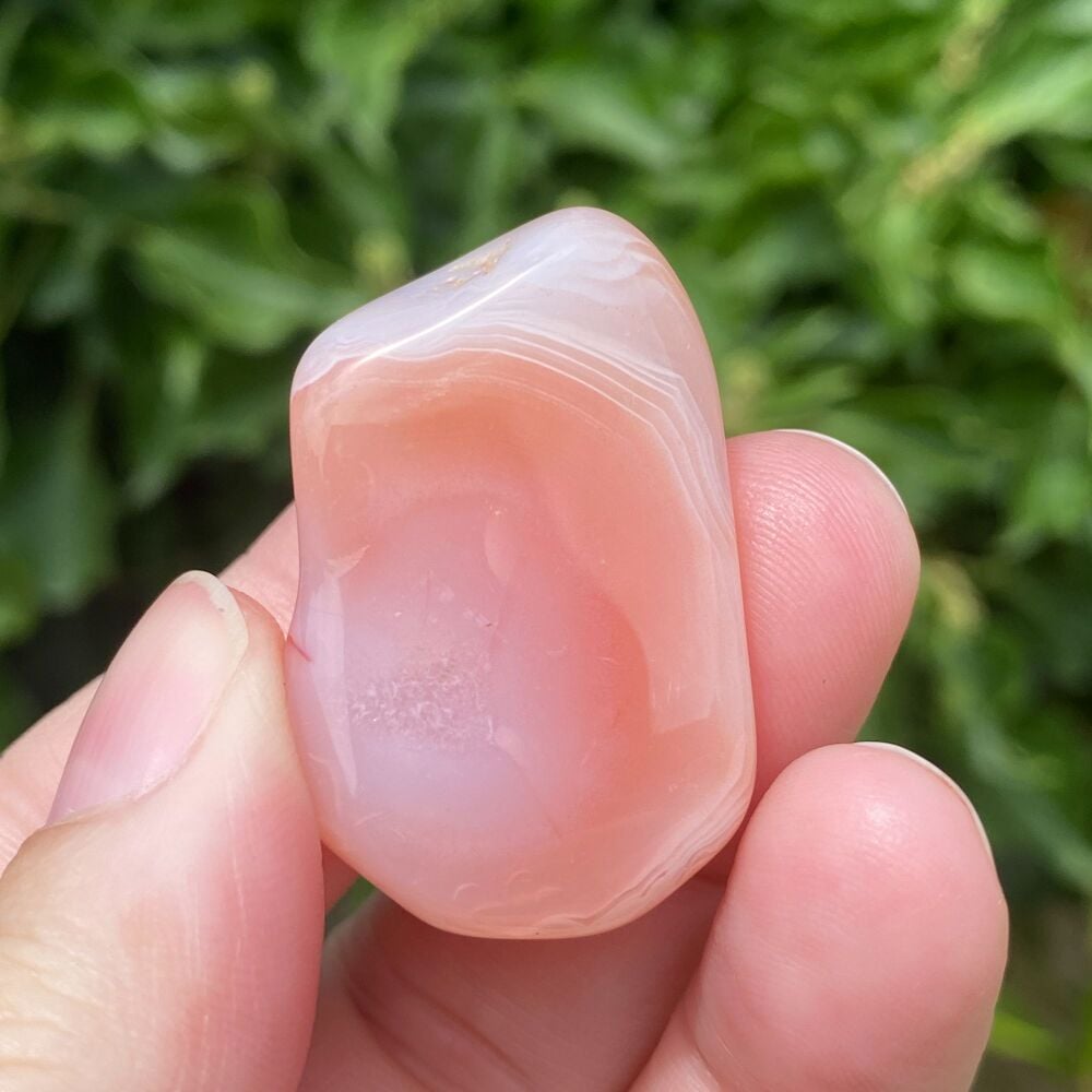 Apricot Agate ~ #3