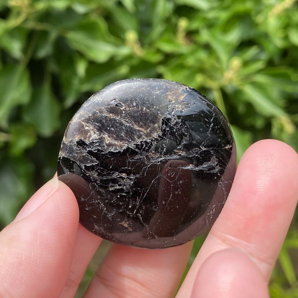 Black Tourmaline Disc ~ #1
