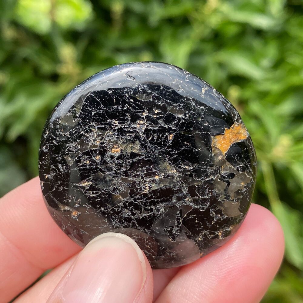 Black Tourmaline Disc ~ #2