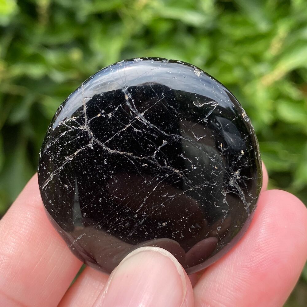 Black Tourmaline Disc ~ #3