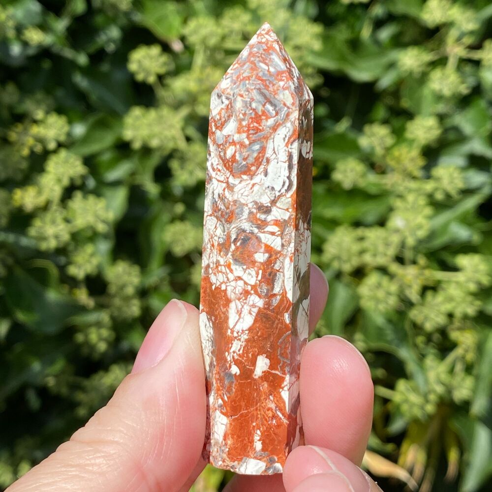 Money Agate Point
