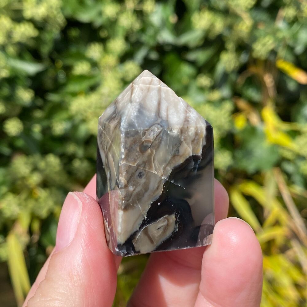 Volcano Agate Point #2