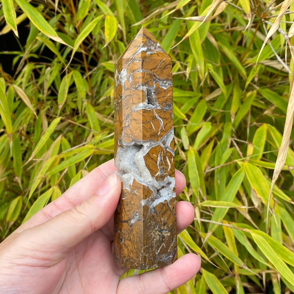 Golden Maligano Jasper with Quartz