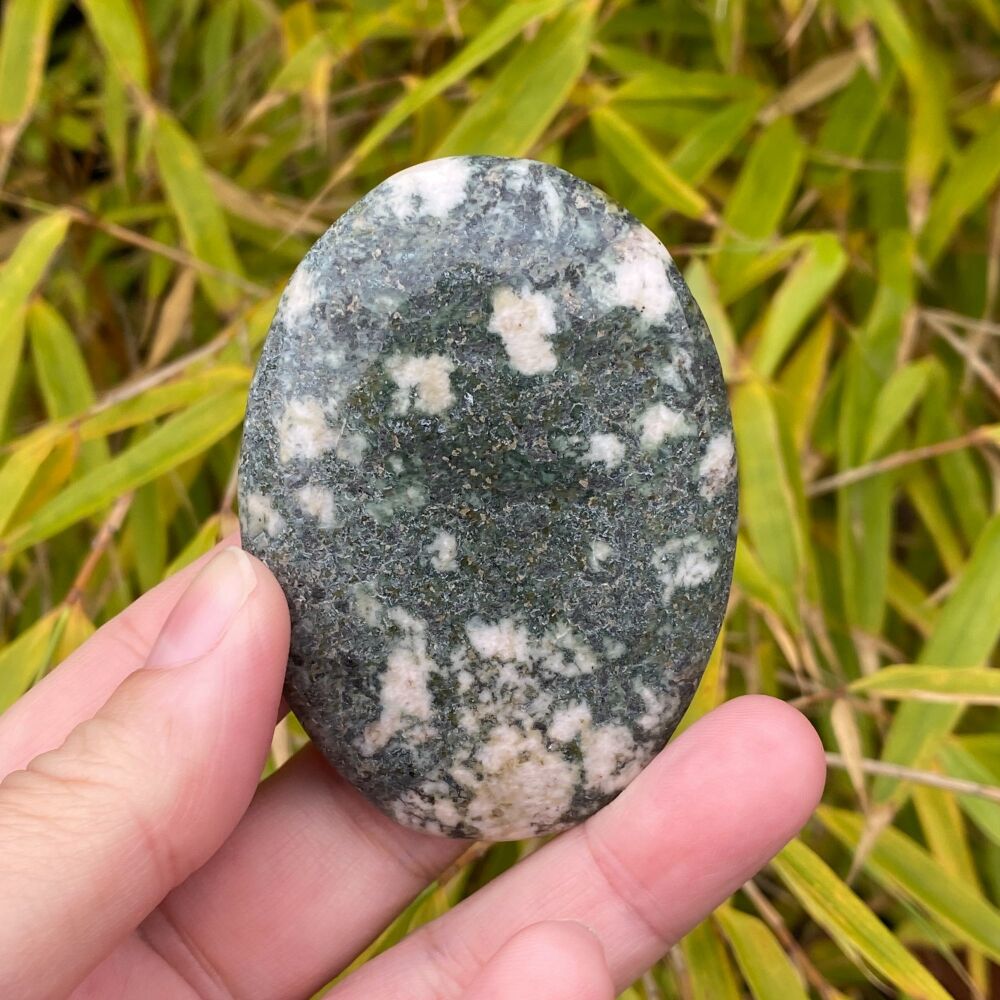 Preseli Blue Palm Stone (Stonehenge Stone)