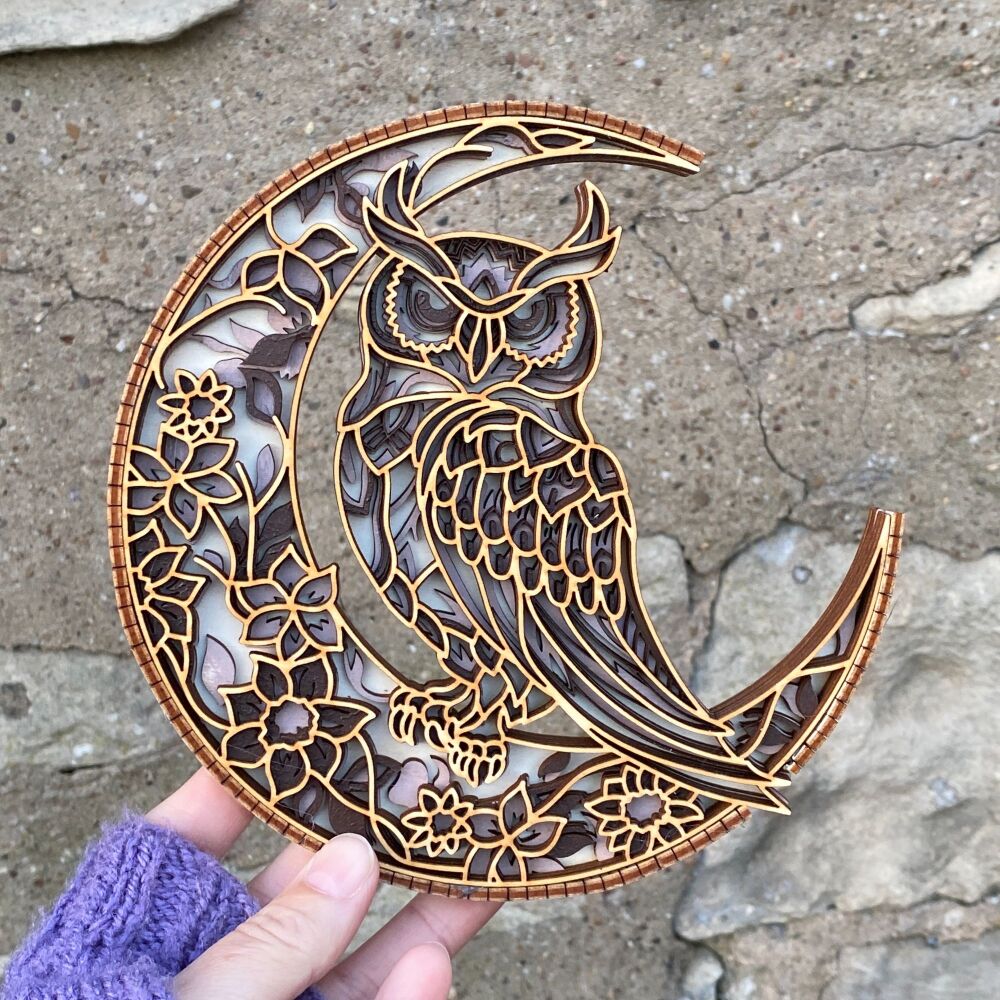 Moon and Owl wooden  hanging picture