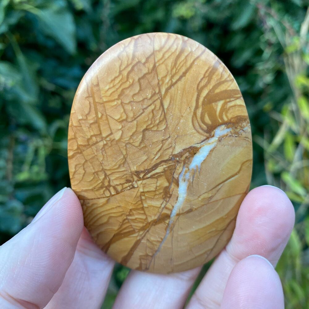 Picture Jasper Palm Stone