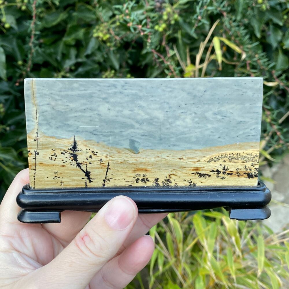 A Stunning Picture Jasper Slice on a wooden base