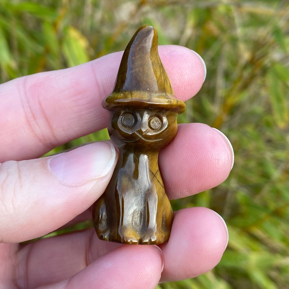 Tiger Eye Cat in a Witches Hat ~#1