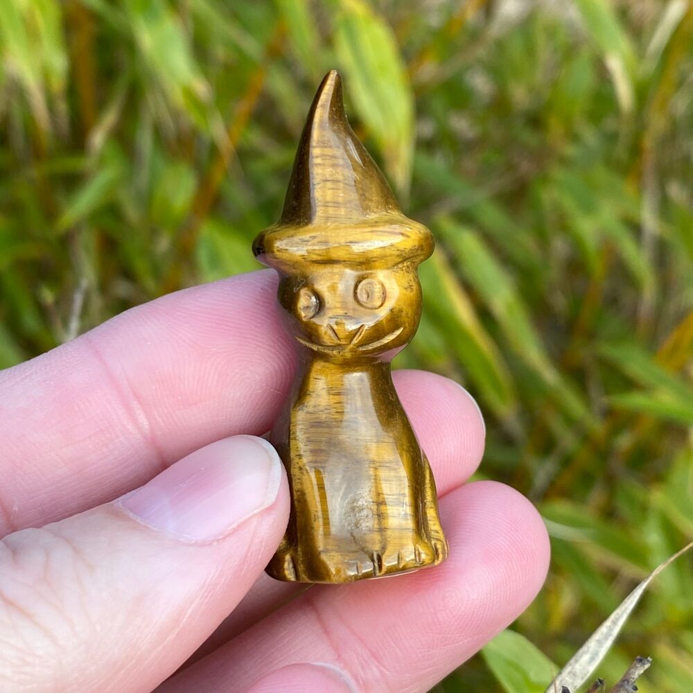 Tiger Eye Cat in a Witches Hat ~#2