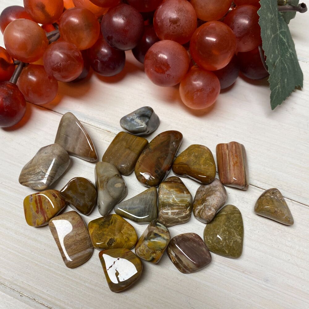 Petrified Wood ~ Pack of 5 mini stones