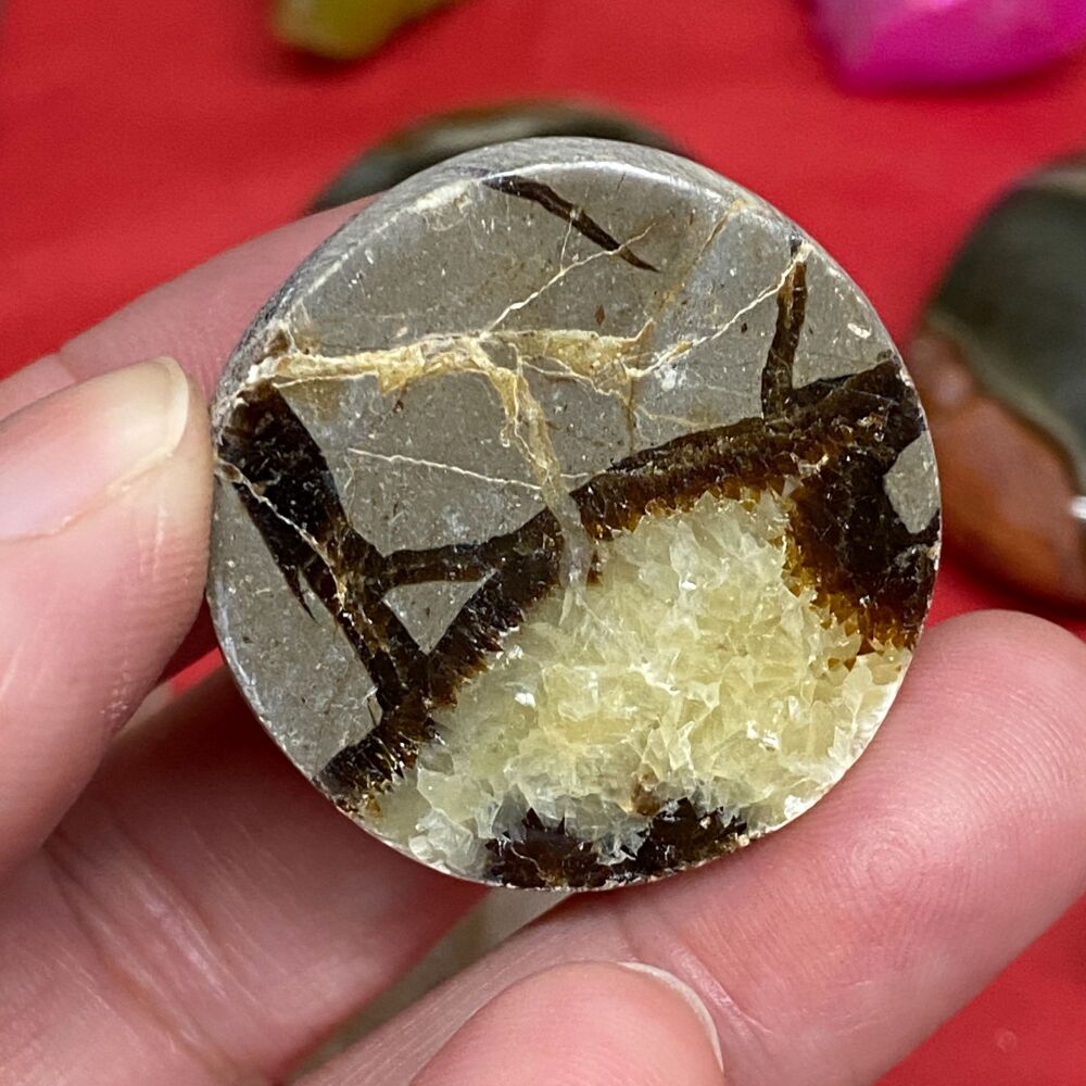 Septarian Polished Half Sphere # 2