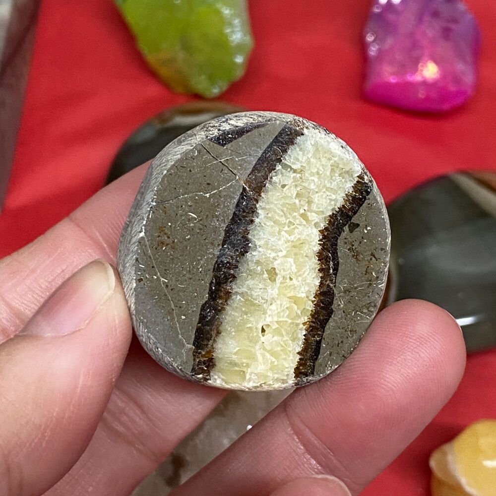 Septarian Polished Half Sphere # 3