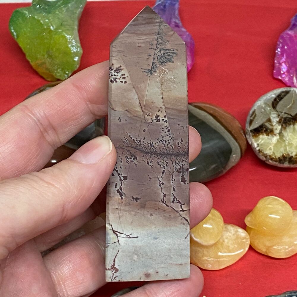 Landscape/ Picture Jasper Point ~ 1