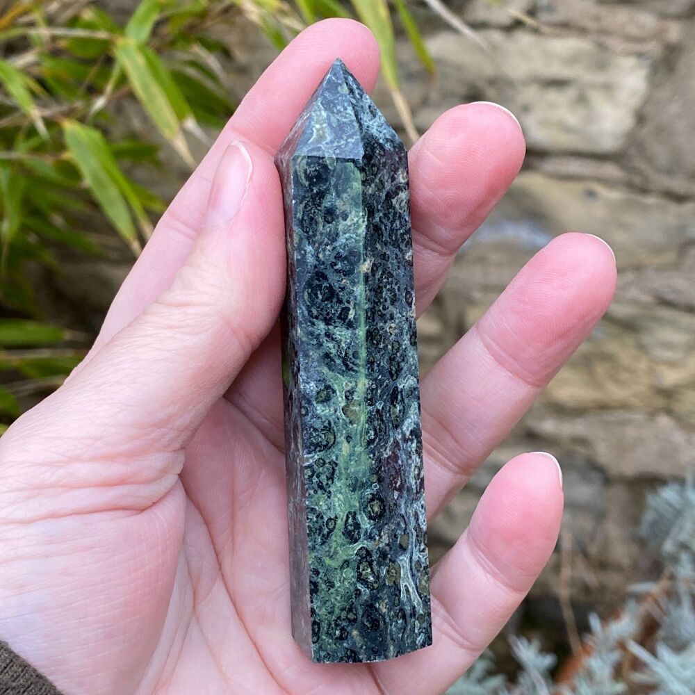 Kambaba Jasper Tower ~ #2