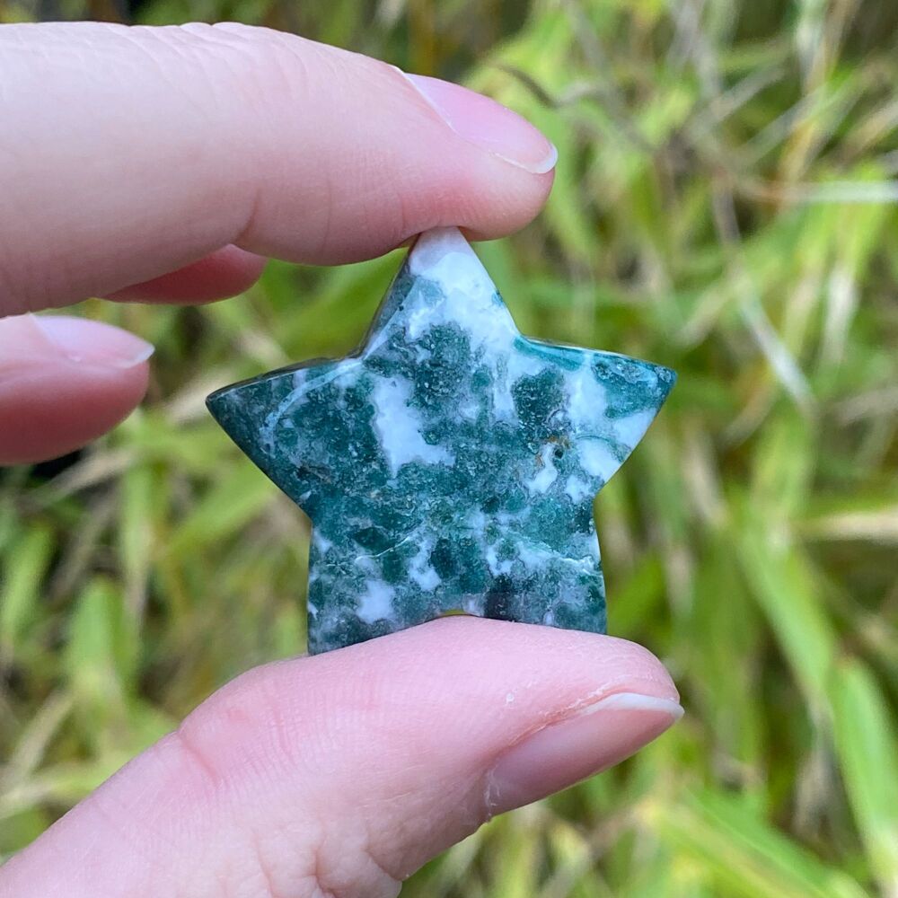 Moss Agate Star ~ #1